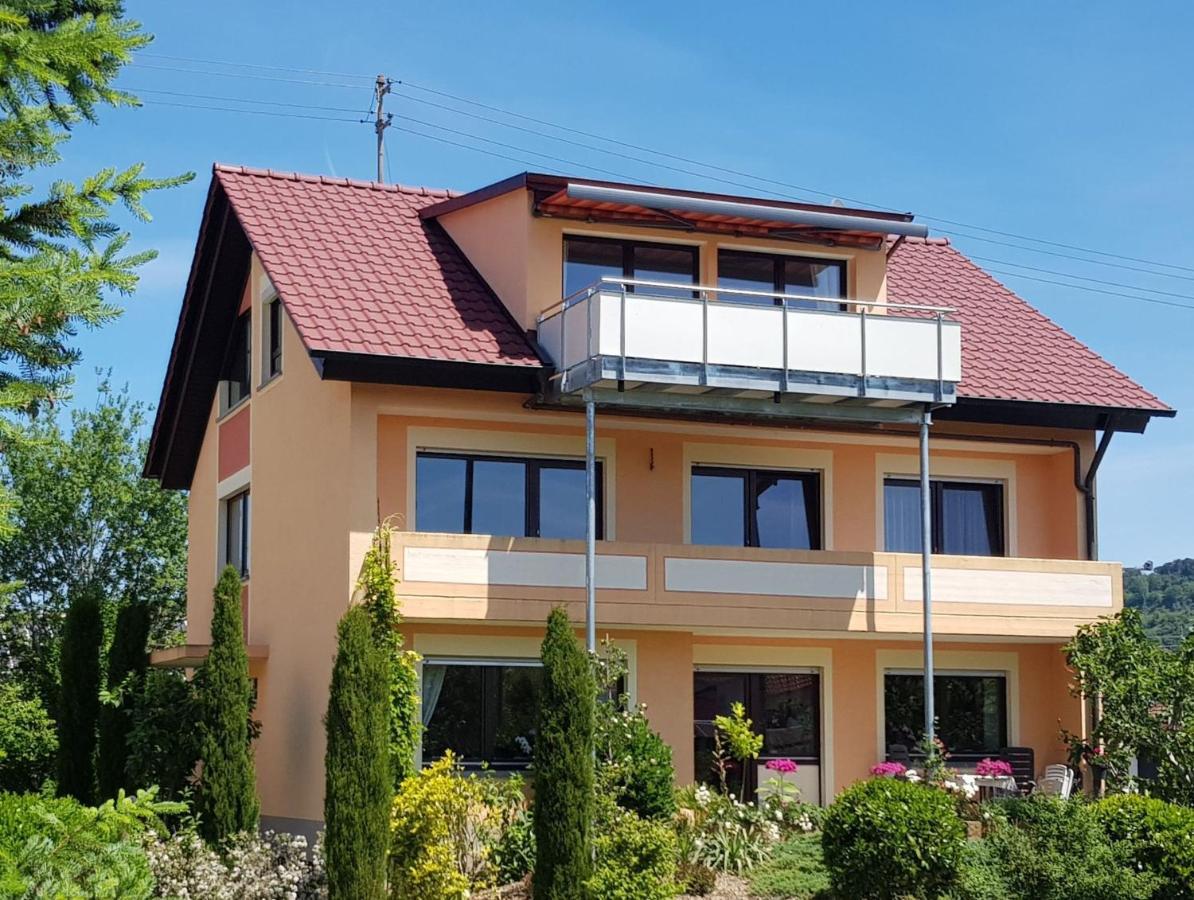 Feriendomizil Bergamini Apartment Bischoffingen Ngoại thất bức ảnh