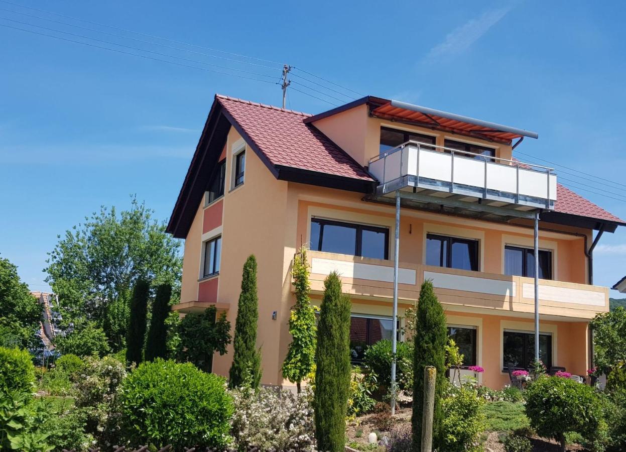 Feriendomizil Bergamini Apartment Bischoffingen Ngoại thất bức ảnh